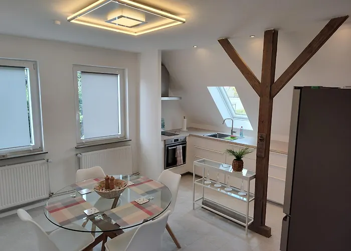 Friesenhuus Deluxe 公寓 积发