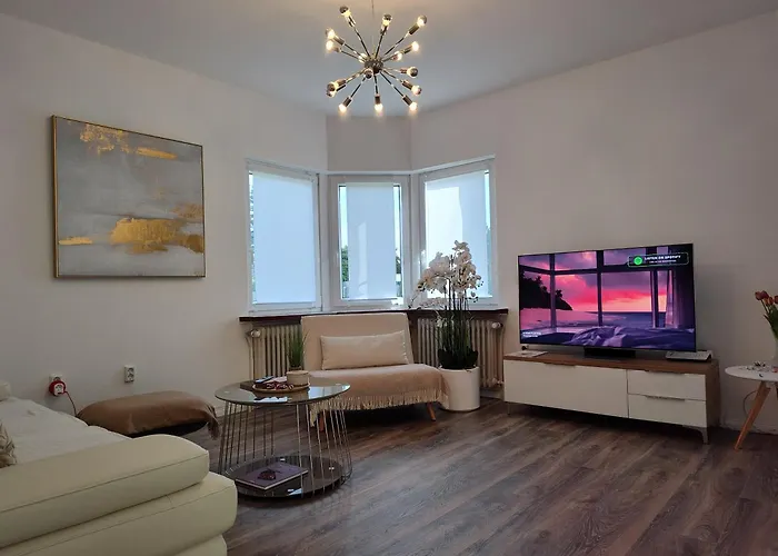 Friesenhuus Deluxe 公寓 积发