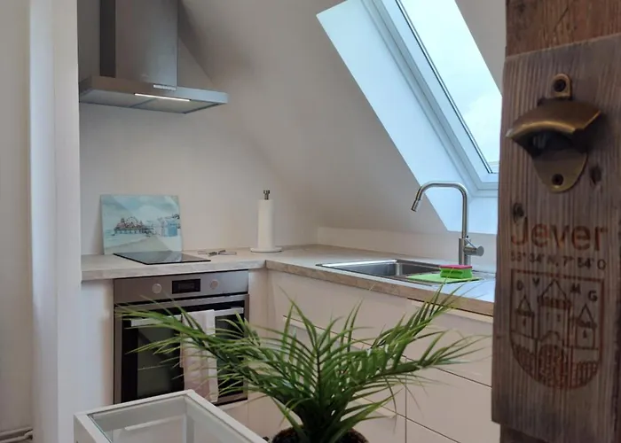 Friesenhuus Deluxe 公寓 积发